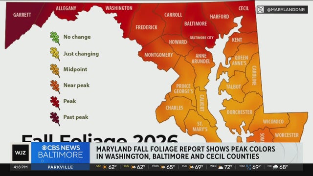Maryland fall foliage report shows peak colors in Washington, Baltimore, and Cecil Counties