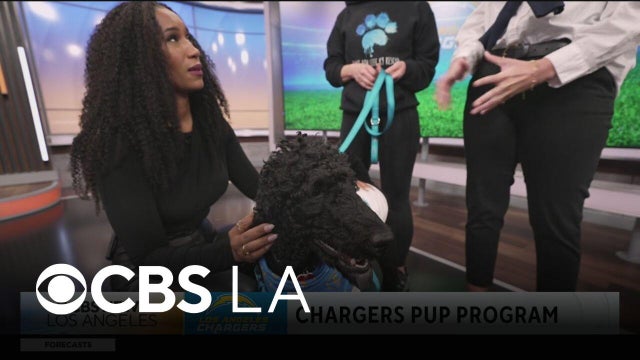 LA Chargers pup program raises awareness and support for service dogs