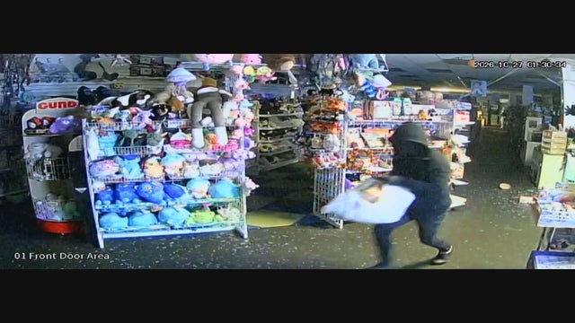 1-toy-store-vandalism-tease-frame-328.jpg 
