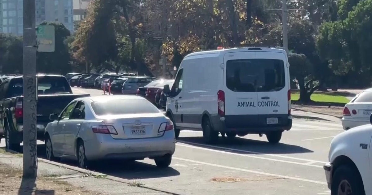 Oakland family seeks justice after beloved dog is killed in attack