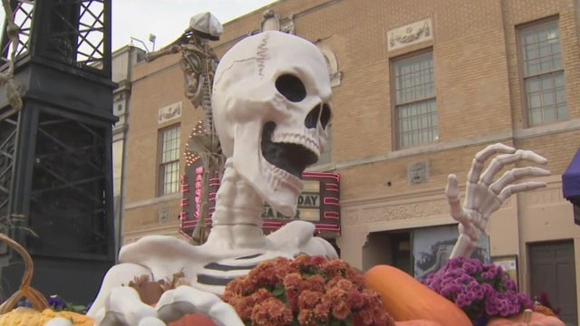 What to know about 15th annual Skeletons Are Alive event in Northville